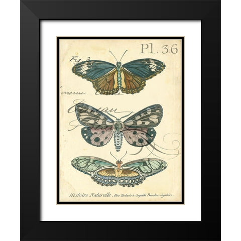 Custom Butterfly Ephemera III (GC) Black Modern Wood Framed Art Print with Double Matting by Zarris, Chariklia