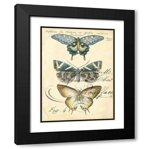 Custom Butterfly Ephemera IV (GC) Black Modern Wood Framed Art Print with Double Matting by Zarris, Chariklia