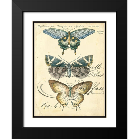 Custom Butterfly Ephemera IV (GC) Black Modern Wood Framed Art Print with Double Matting by Zarris, Chariklia