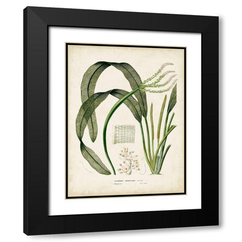 Small Tropical Grass I Black Modern Wood Framed Art Print with Double Matting by Vision Studio