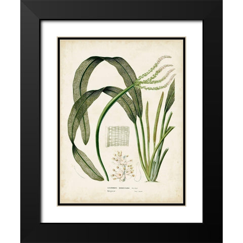 Small Tropical Grass I Black Modern Wood Framed Art Print with Double Matting by Vision Studio