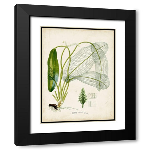 Small Tropical Grass II Black Modern Wood Framed Art Print with Double Matting by Vision Studio