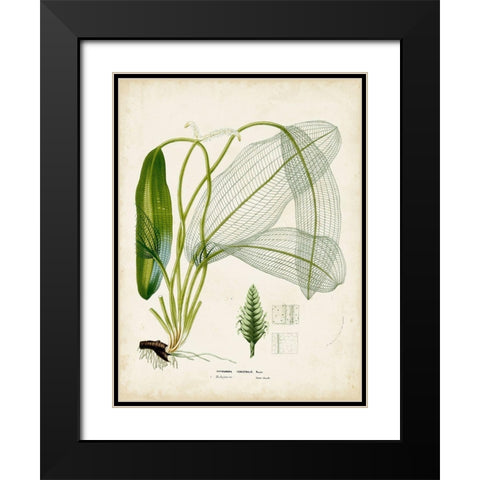 Small Tropical Grass II Black Modern Wood Framed Art Print with Double Matting by Vision Studio