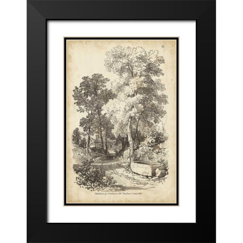 Noble Tree I Black Modern Wood Framed Art Print with Double Matting by Harding, J.D.