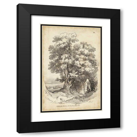 Noble Tree II Black Modern Wood Framed Art Print with Double Matting by Harding, J.D.