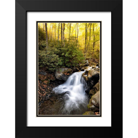 Spilled Milk Black Modern Wood Framed Art Print with Double Matting by Head, Danny