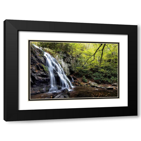 Spruce Flat Falls at Morning Black Modern Wood Framed Art Print with Double Matting by Head, Danny