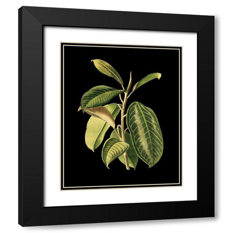 Custom Green Leaves on Black I (LG) Black Modern Wood Framed Art Print with Double Matting by Vision Studio