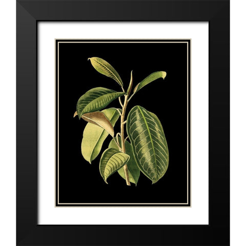 Custom Green Leaves on Black I (LG) Black Modern Wood Framed Art Print with Double Matting by Vision Studio