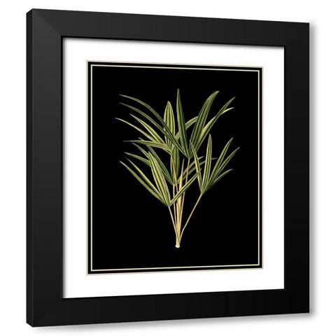 Custom Green Leaves on Black II (LG) Black Modern Wood Framed Art Print with Double Matting by Vision Studio