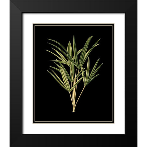 Custom Green Leaves on Black II (LG) Black Modern Wood Framed Art Print with Double Matting by Vision Studio