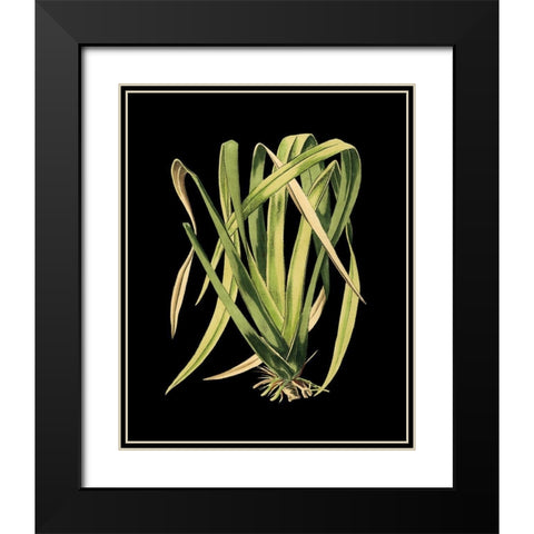 Custom Green Leaves on Black IV (LG) Black Modern Wood Framed Art Print with Double Matting by Vision Studio