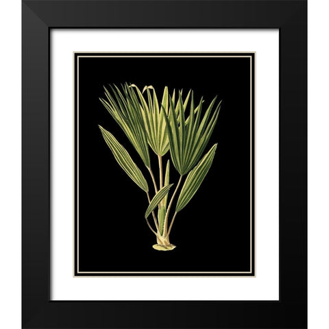 Custom Green Leaves on Black V (LG) Black Modern Wood Framed Art Print with Double Matting by Vision Studio