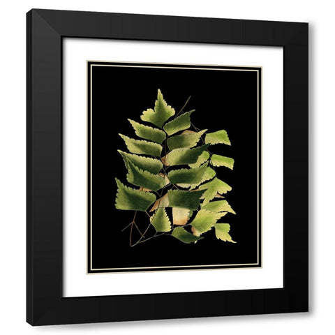 Custom Green Leaves on Black VI (LG) Black Modern Wood Framed Art Print with Double Matting by Vision Studio