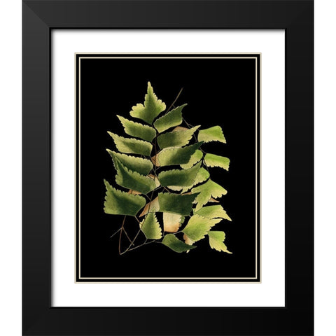 Custom Green Leaves on Black VI (LG) Black Modern Wood Framed Art Print with Double Matting by Vision Studio