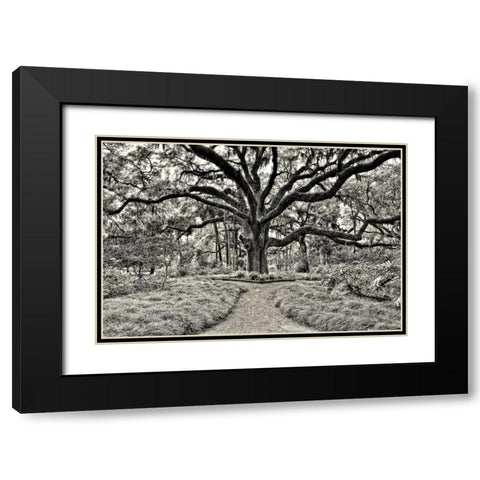 Florida Tree Black Modern Wood Framed Art Print with Double Matting by Burchett, P.H.