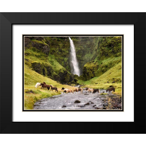 Waterfall Horses II Black Modern Wood Framed Art Print with Double Matting by Burchett, P.H.