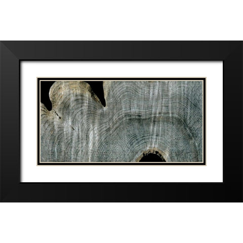 Gray Ghost I Black Modern Wood Framed Art Print with Double Matting by Butler, John