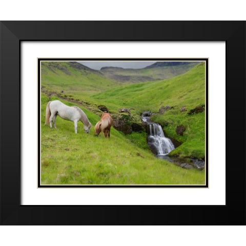 Icelandic Horses I Black Modern Wood Framed Art Print with Double Matting by Burchett, P.H.