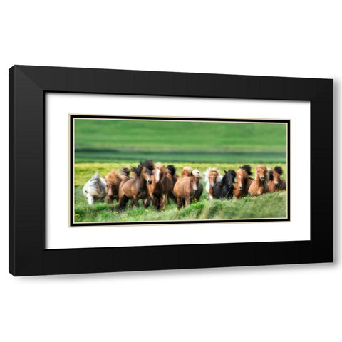 Icelandic Horses XII Black Modern Wood Framed Art Print with Double Matting by Burchett, P.H.