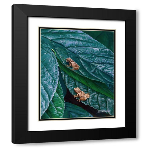 Spring Peepers II Black Modern Wood Framed Art Print with Double Matting by Szatkowski, Fred