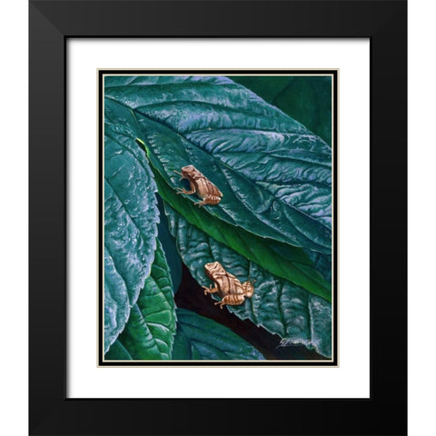 Spring Peepers II Black Modern Wood Framed Art Print with Double Matting by Szatkowski, Fred