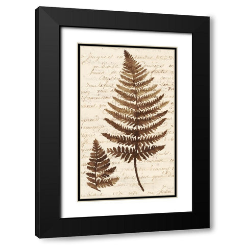 Ferns And Ledgers I Black Modern Wood Framed Art Print with Double Matting by McCavitt, Naomi