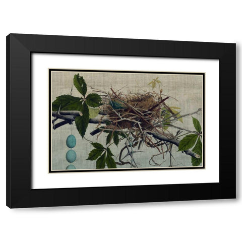 Nesting I Black Modern Wood Framed Art Print with Double Matting by Butler, John