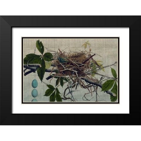 Nesting I Black Modern Wood Framed Art Print with Double Matting by Butler, John