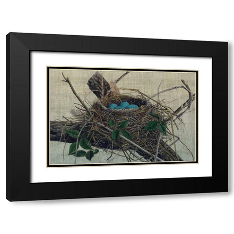 Nesting II Black Modern Wood Framed Art Print with Double Matting by Butler, John