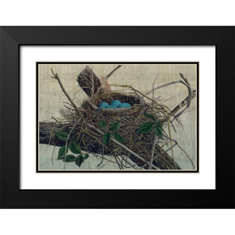 Nesting II Black Modern Wood Framed Art Print with Double Matting by Butler, John
