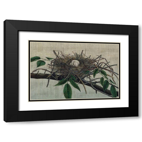 Nesting III Black Modern Wood Framed Art Print with Double Matting by Butler, John