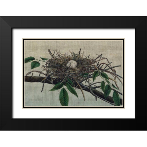 Nesting III Black Modern Wood Framed Art Print with Double Matting by Butler, John