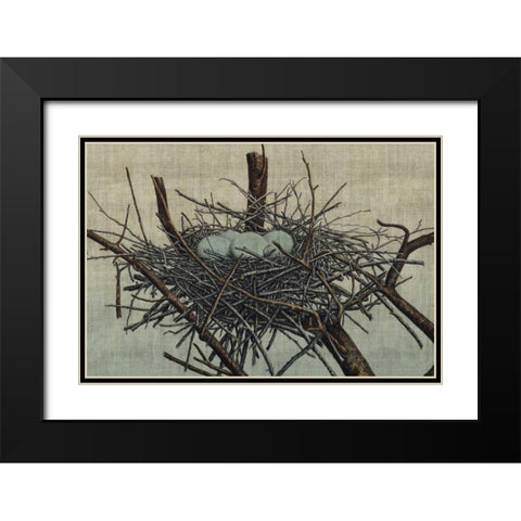 Nesting IV Black Modern Wood Framed Art Print with Double Matting by Butler, John