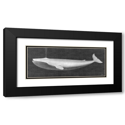 Whale Watching I Black Modern Wood Framed Art Print with Double Matting by Butler, John