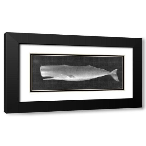 Whale Watching II Black Modern Wood Framed Art Print with Double Matting by Butler, John