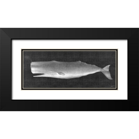 Whale Watching II Black Modern Wood Framed Art Print with Double Matting by Butler, John