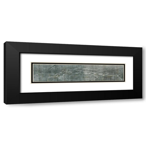 Fossil Imprint I Black Modern Wood Framed Art Print with Double Matting by Butler, John