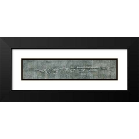 Fossil Imprint II Black Modern Wood Framed Art Print with Double Matting by Butler, John