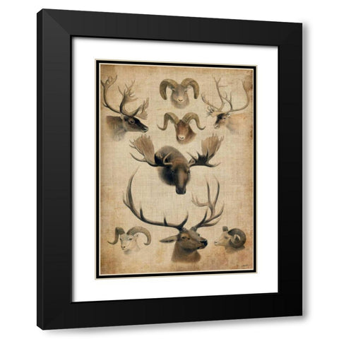 American Trophy I Black Modern Wood Framed Art Print with Double Matting by Butler, John