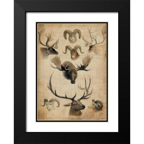 American Trophy I Black Modern Wood Framed Art Print with Double Matting by Butler, John