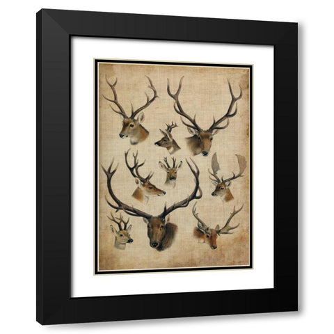 American Trophy II Black Modern Wood Framed Art Print with Double Matting by Butler, John