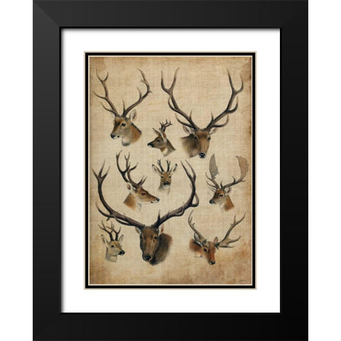 American Trophy II Black Modern Wood Framed Art Print with Double Matting by Butler, John