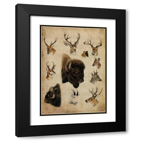 American Trophy III Black Modern Wood Framed Art Print with Double Matting by Butler, John