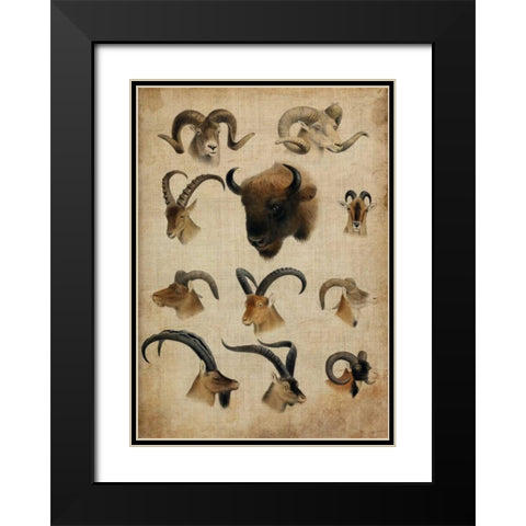 American Trophy IV Black Modern Wood Framed Art Print with Double Matting by Butler, John