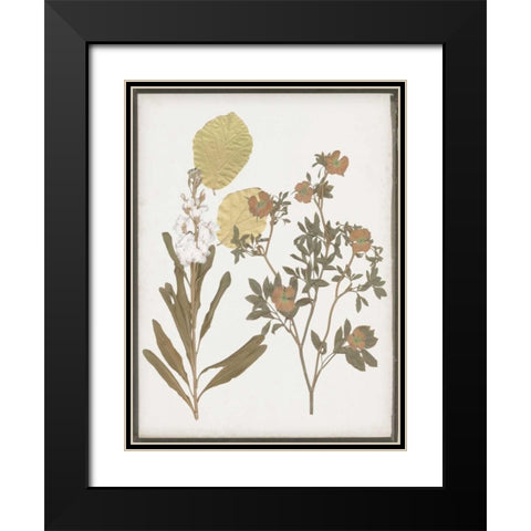 Book-Pressed Flowers I Black Modern Wood Framed Art Print with Double Matting by Goldberger, Jennifer