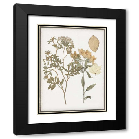 Book-Pressed Flowers II Black Modern Wood Framed Art Print with Double Matting by Goldberger, Jennifer