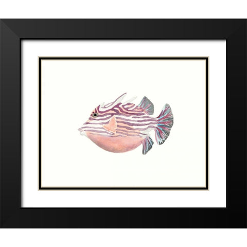 Watercolor Tropical Fish II Black Modern Wood Framed Art Print with Double Matting by McCavitt, Naomi