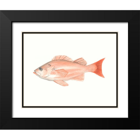 Watercolor Deep Sea Fish I Black Modern Wood Framed Art Print with Double Matting by McCavitt, Naomi
