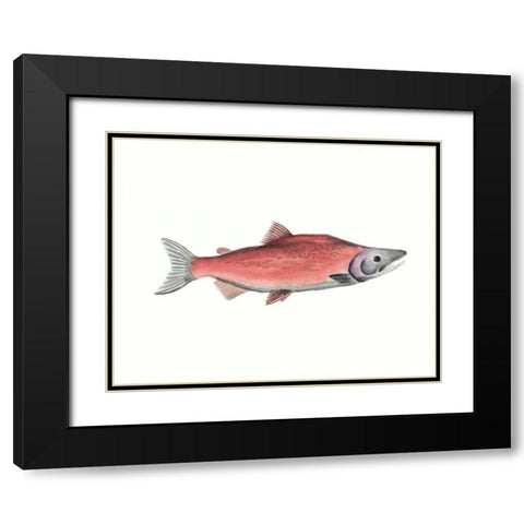 Watercolor Deep Sea Fish III Black Modern Wood Framed Art Print with Double Matting by McCavitt, Naomi